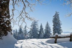 <b>更是对孩子气质的早期熏陶</b>