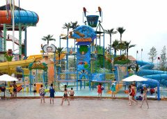 数据截至2025年11月