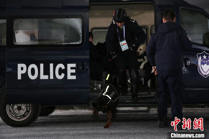 汪汪队护航十四冬安保警犬专业能力远超萌态展