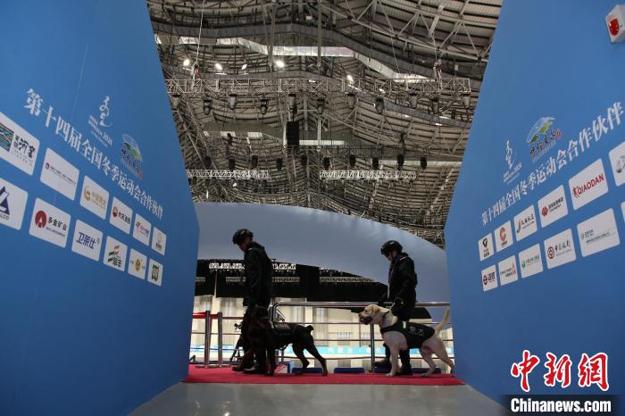 汪汪队护航十四冬安保警犬专业能力远超萌态展