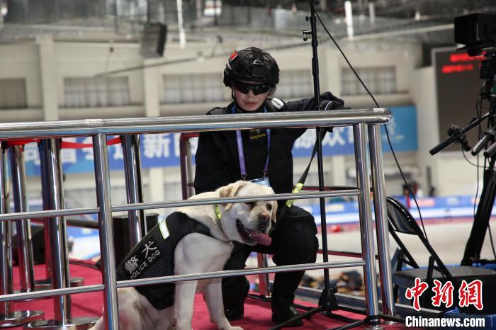 汪汪队护航十四冬安保警犬专业能力远超萌态展