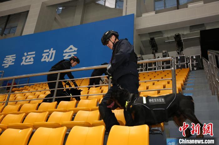 汪汪队护航十四冬安保警犬专业能力远超萌态展